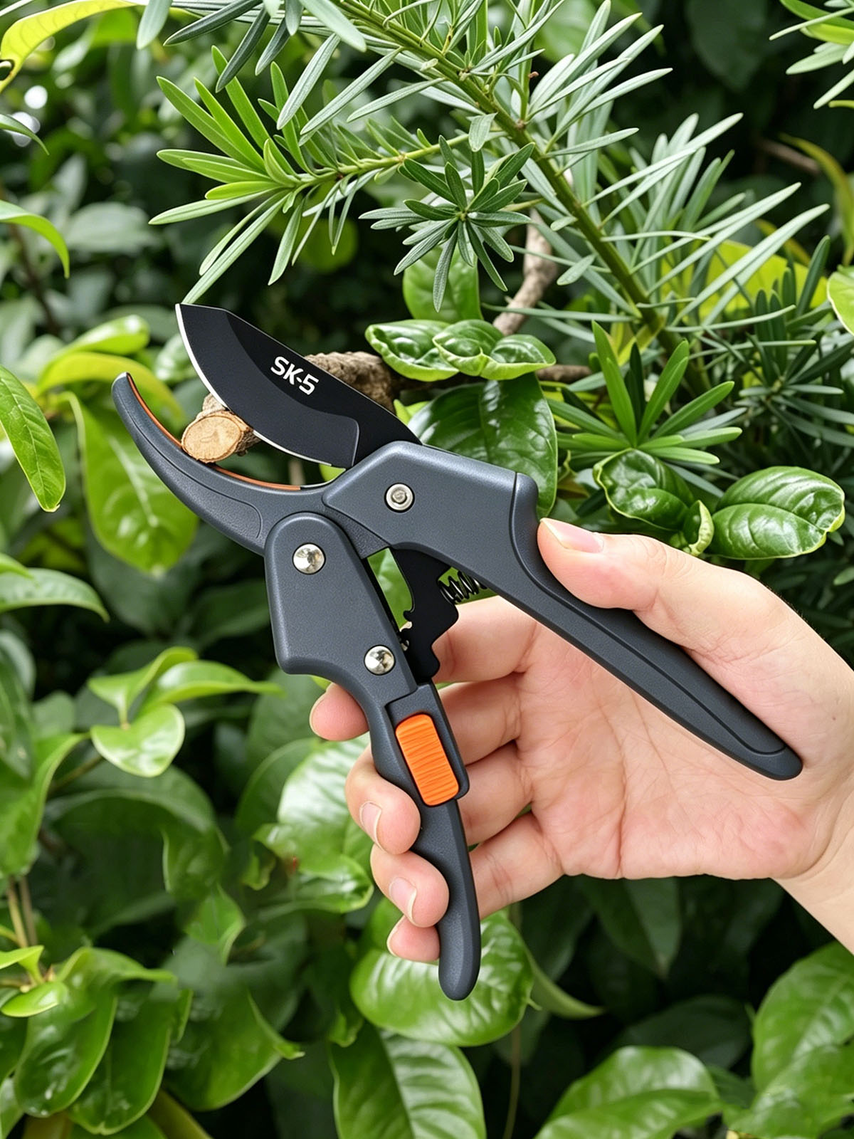 Gardening Tools To Cut Branches - Forbici da Potatura in Acciaio Inox