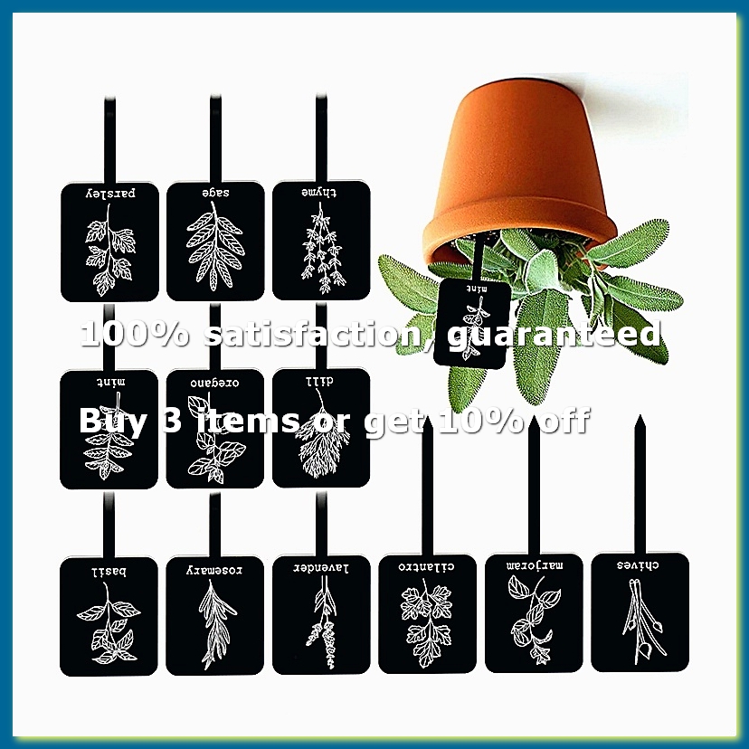 Gardening Tools Names - 24 Etichette in Acrilico per Piante,