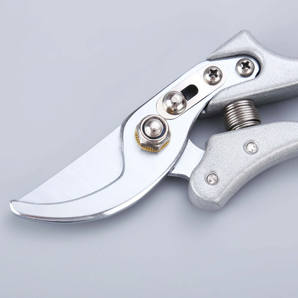 Forbici da Giardino in Acciaio - Gardening Tools To Cut Branches recensione e prezzo