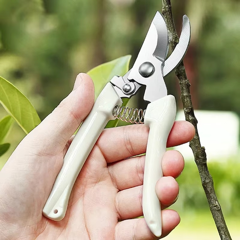 Forbici da Potatura in Acciaio - Gardening Tools To Cut Branches recensione e prezzo
