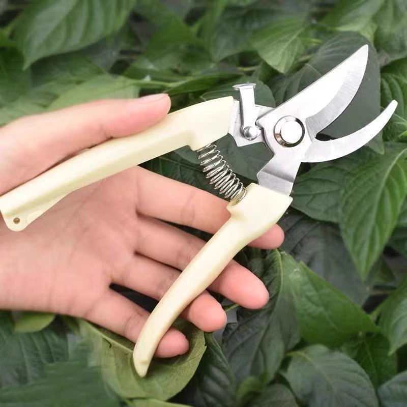 Forbici Elettriche per Potatur - Gardening Tools Pink recensione e prezzo