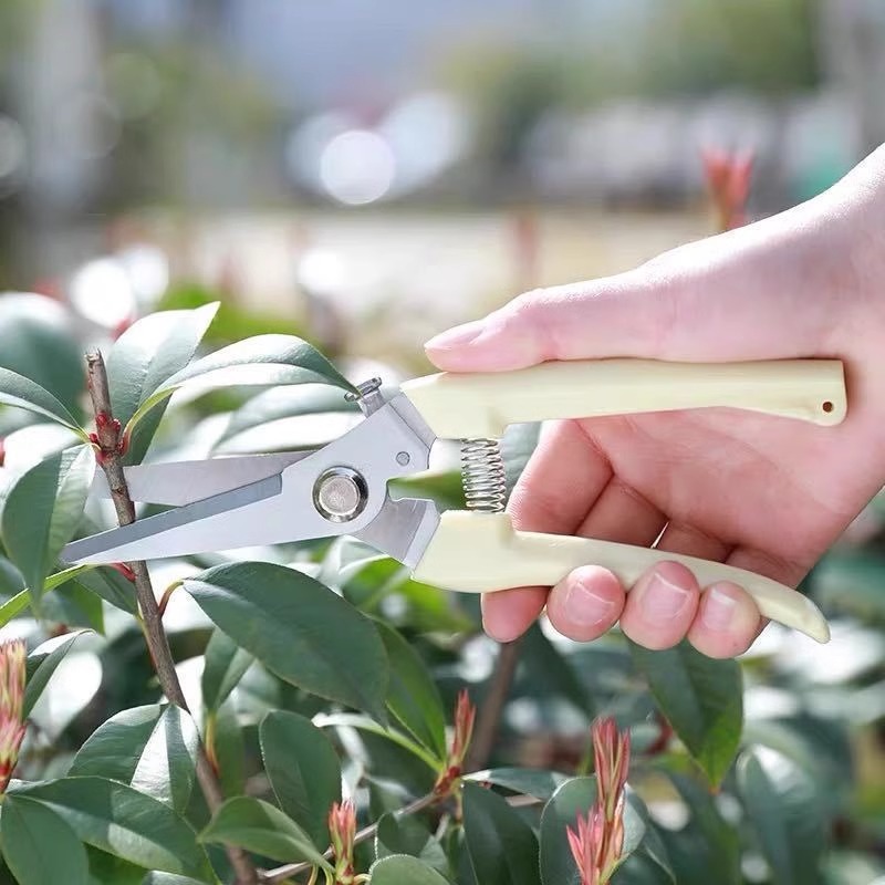 Forbici Elettriche per Potatur - Gardening Tools Pink recensione e prezzo
