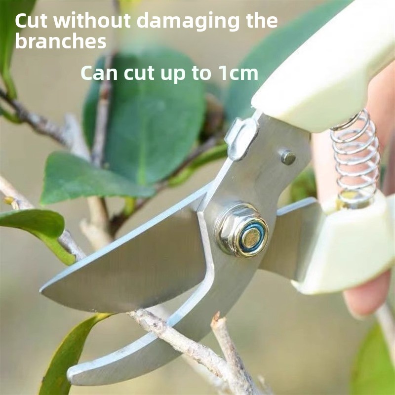 Forbici Elettriche per Potatur - Gardening Tools Pink recensione e prezzo