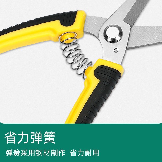 Cesoie per potatura in acciaio - Gardening Tools To Cut Branches recensione e prezzo