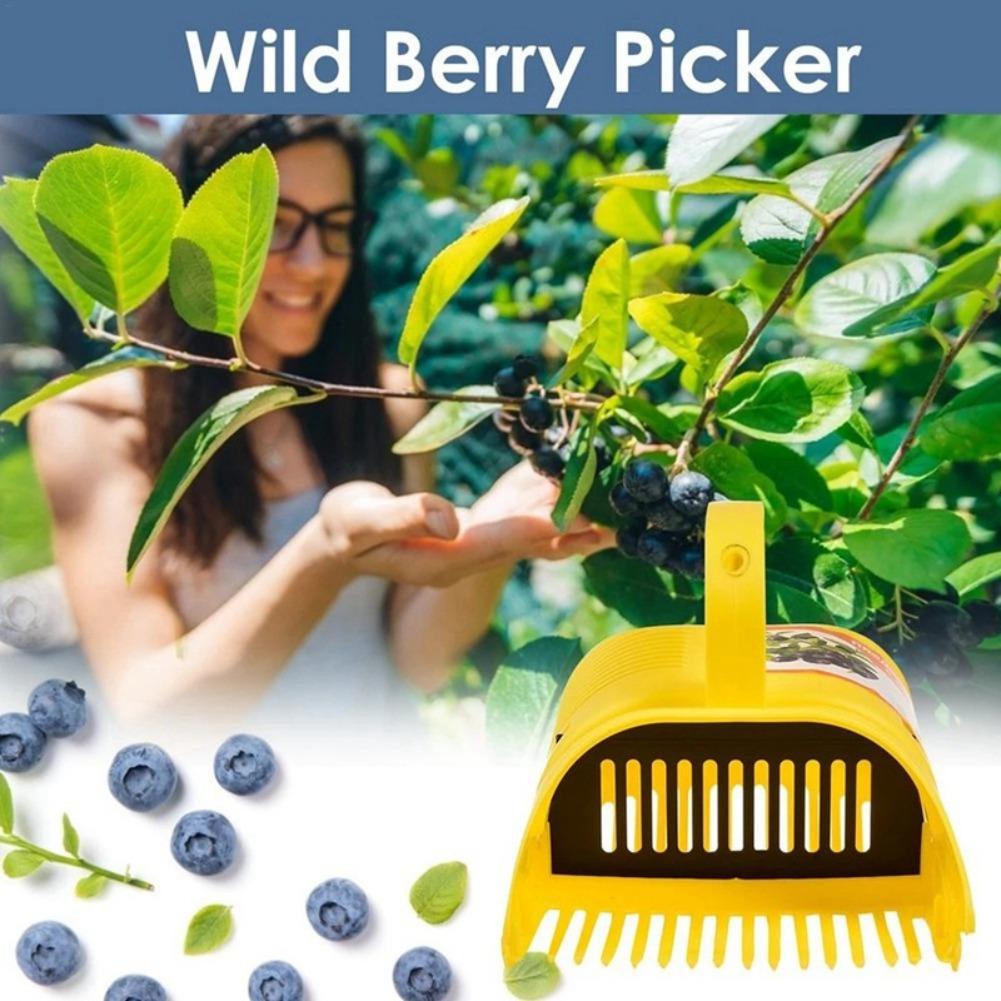 Raccoglitore di Mirtilli con I - Gardening Tools Must Haves recensione e prezzo