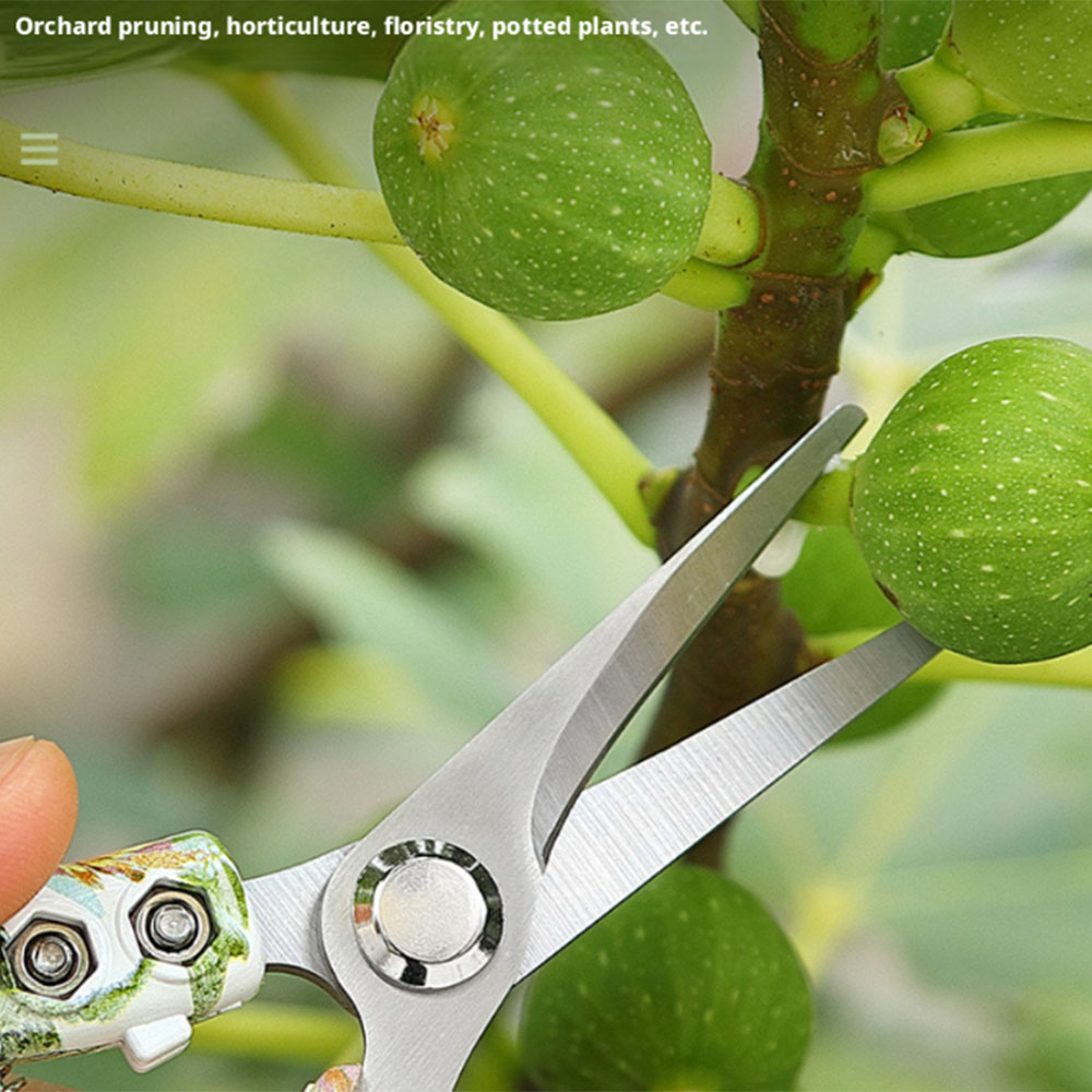 Forbici da Giardinaggio in Acc - Gardening Tools Pink recensione e prezzo