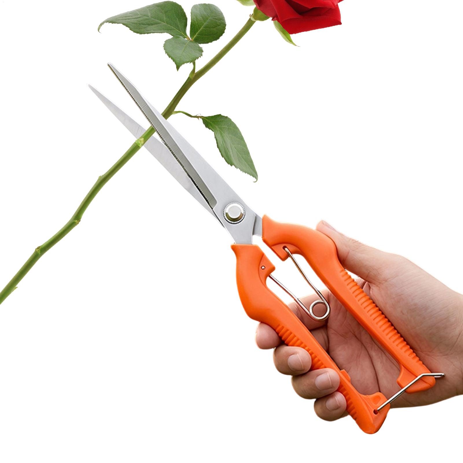 Forbici da Potatura Profession - Gardening Tools Women recensione e prezzo