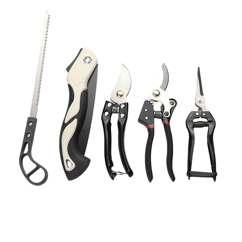 Set di Forbici da Giardinaggio - Gardening Tools To Cut Branches recensione e prezzo
