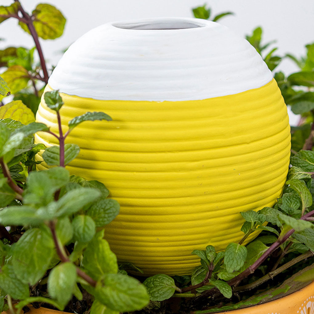 Strumento automatico per l'irr - Gardening Tools Must Haves recensione e prezzo