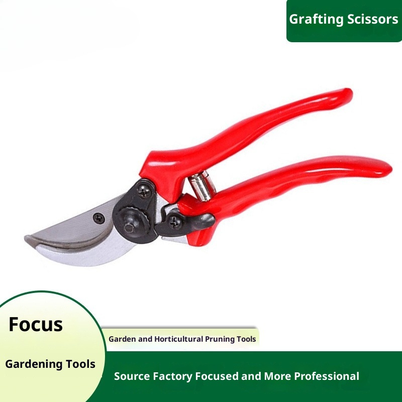 Forbici da Potatura Premium pe - Gardening Tools Quality recensione e prezzo