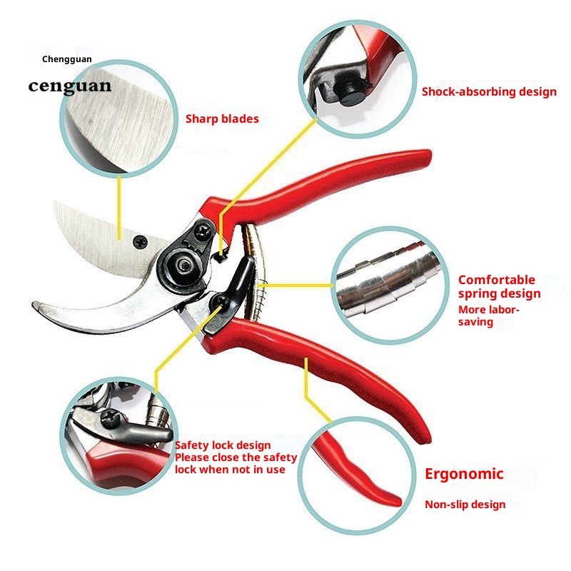 Forbici da Potatura Premium pe - Gardening Tools Quality recensione e prezzo