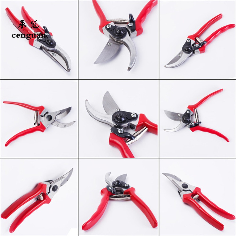 Forbici da Potatura Premium pe - Gardening Tools Quality recensione e prezzo