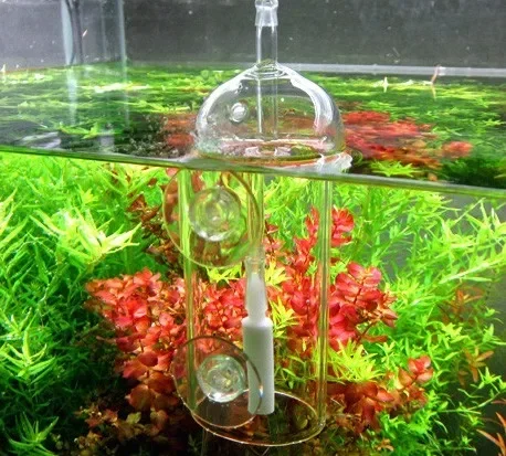 VIV Do Dispositivo Cilindro pe - Aquaponics Fish Tank recensione e prezzo