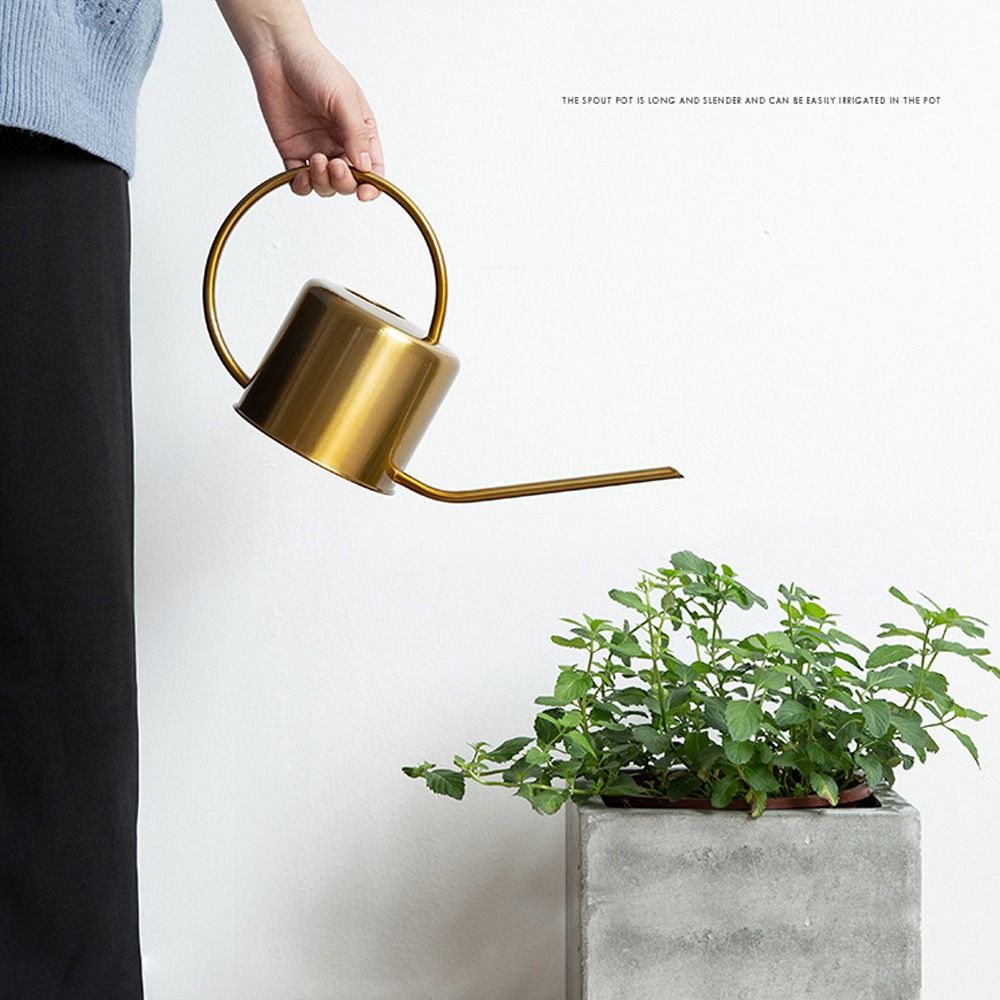 u Bollitore per piante da 1,3  - Gardening Tools Quality recensione e prezzo