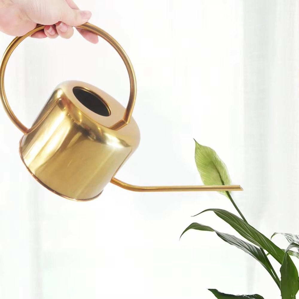 u Bollitore per piante da 1,3  - Gardening Tools Quality recensione e prezzo