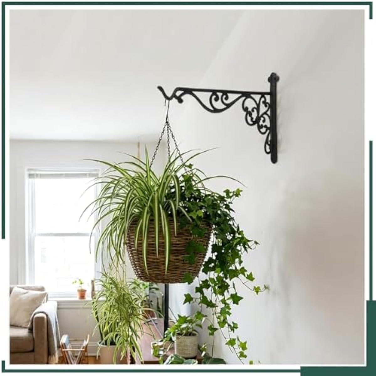 Due robusti ganci da parete pe - Gardening Tools Heavy Duty recensione e prezzo