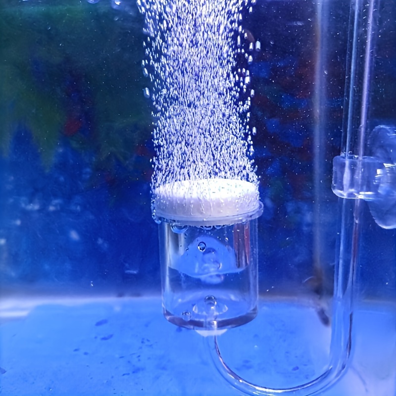 Acquario Vetro CO2 Atomizzator - Aquaponics Fish Tank recensione e prezzo