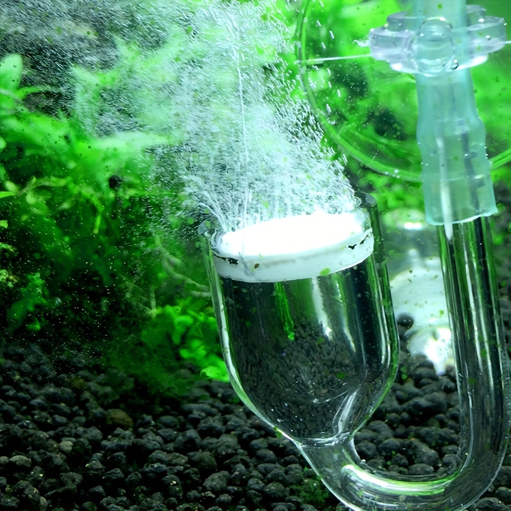 Acquario Vetro CO2 Atomizzator - Aquaponics Fish Tank recensione e prezzo