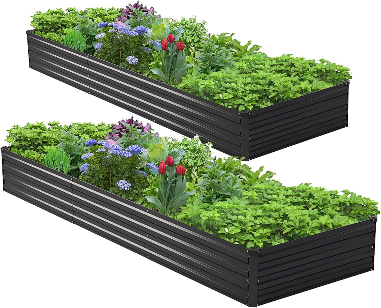 2 Pezzi Kit Letto da Giardino  - Raised Bed Planter Box recensione e prezzo