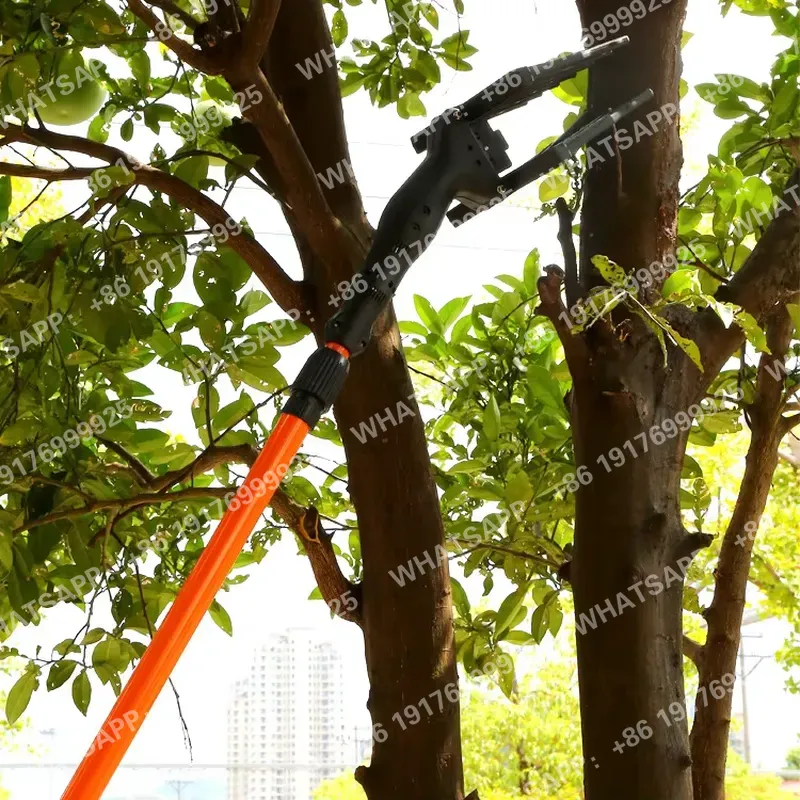 Attrezzo Magico per Raccolta i - Gardening Tools Must Haves recensione e prezzo