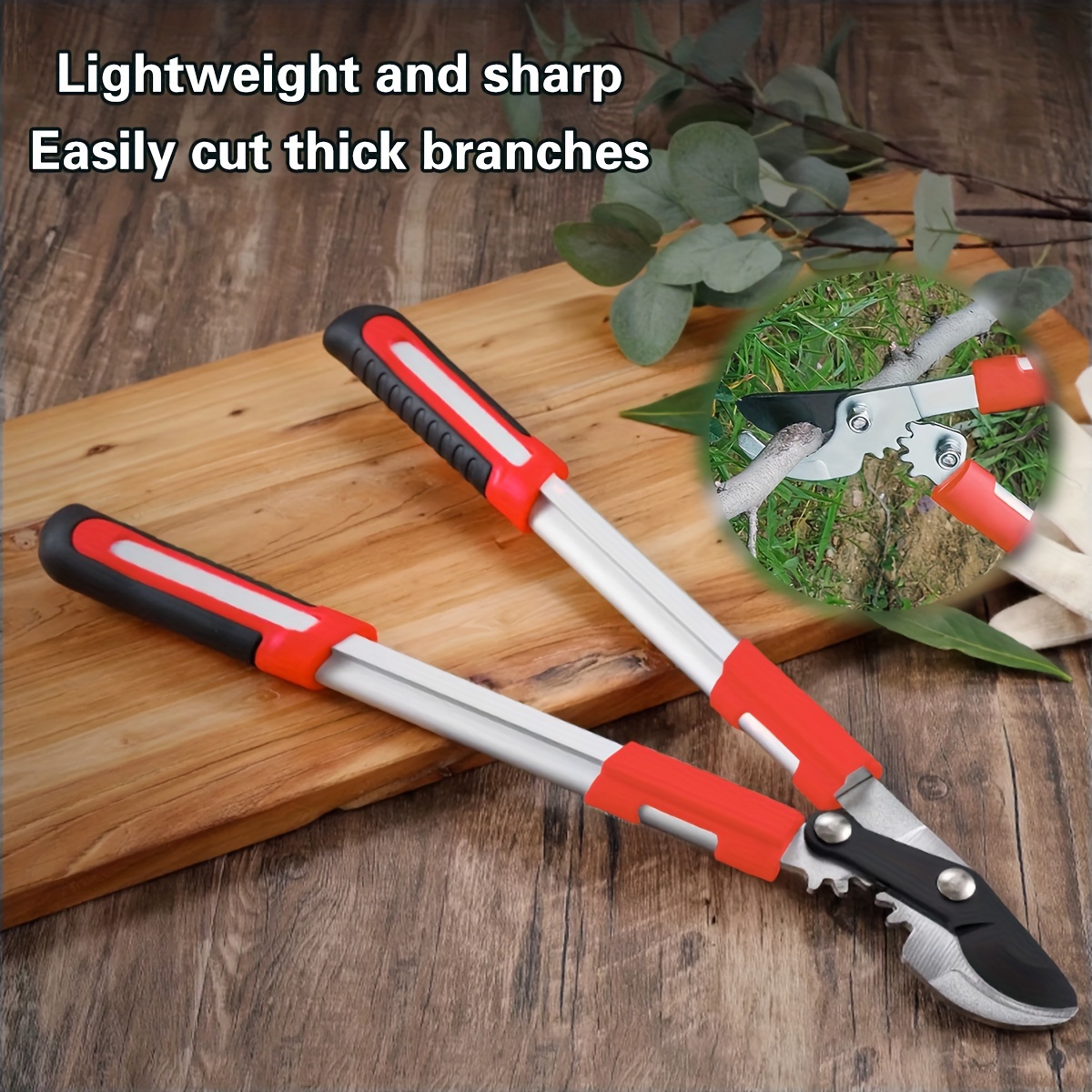 Forbici da Potatura Profession - Gardening Tools To Cut Branches recensione e prezzo