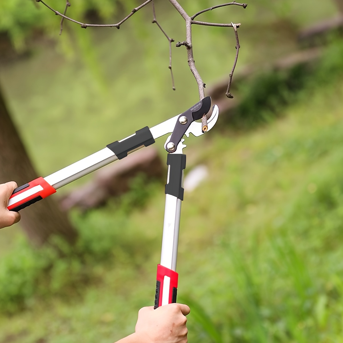 Forbici da Potatura Profession - Gardening Tools To Cut Branches recensione e prezzo