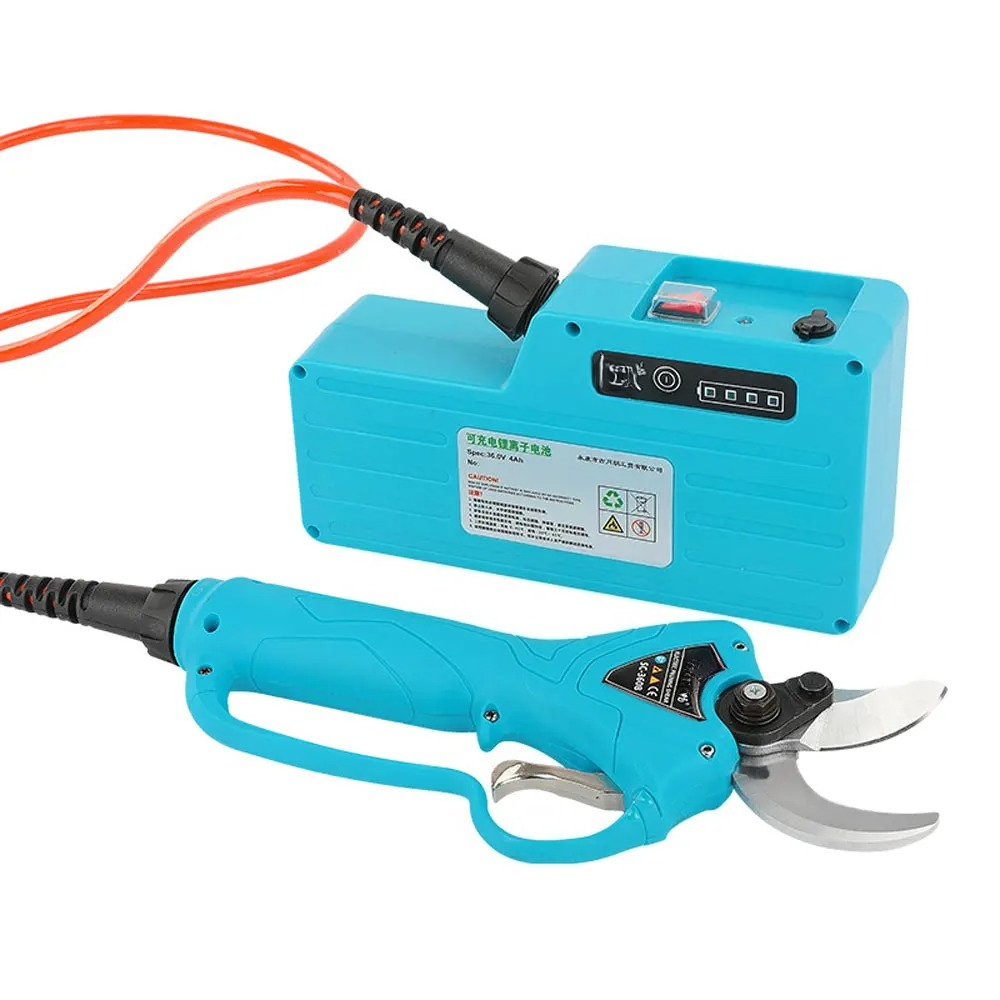 Forbici Elettriche Professiona - Gardening Tools To Cut Branches recensione e prezzo