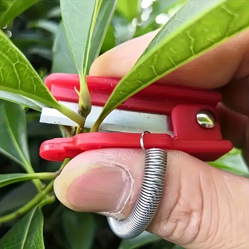 Forbici da giardinaggio per po - Gardening Tools Pink recensione e prezzo