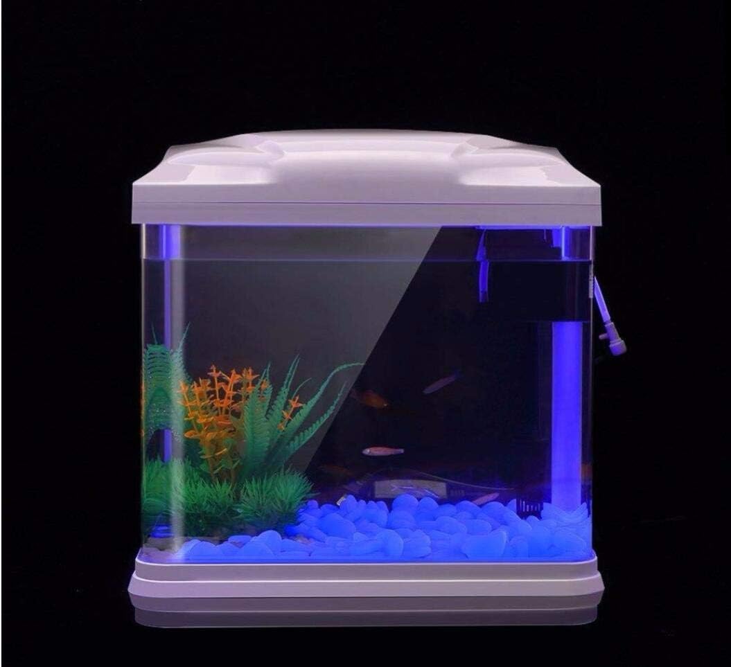 Rocce per acquari che si illum - Aquaponics Fish Tank recensione e prezzo