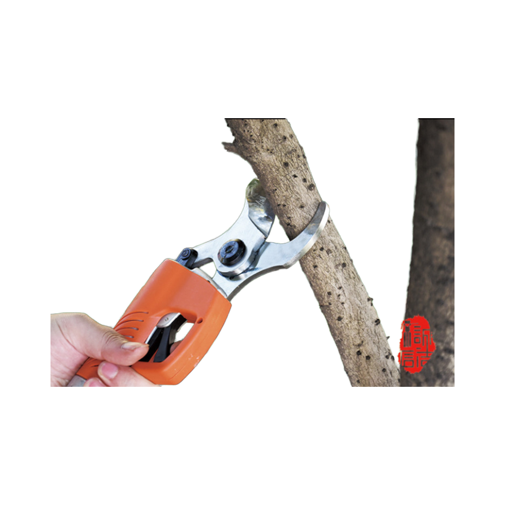 2026 Cesoie da giardino senza  - Gardening Tools To Cut Branches recensione e prezzo