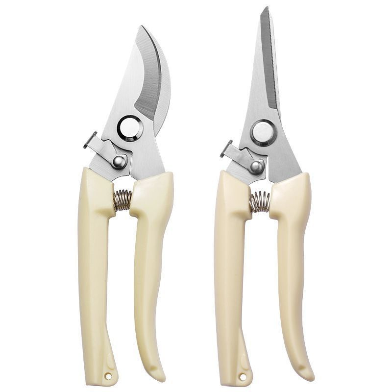 Forbici da Potatura in Acciaio - Gardening Tools To Cut Branches recensione e prezzo