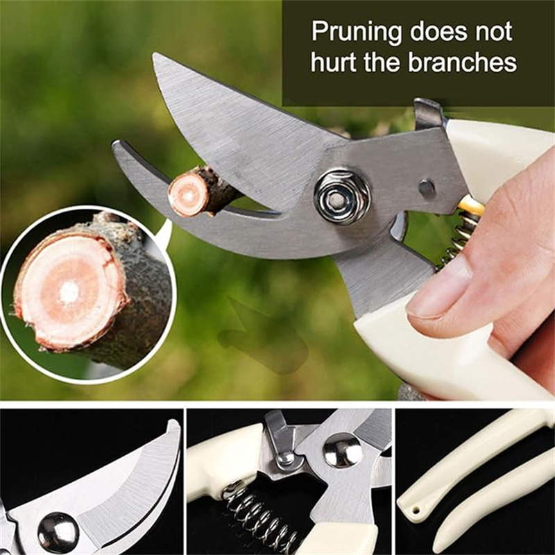 Forbici da Potatura in Acciaio - Gardening Tools To Cut Branches recensione e prezzo