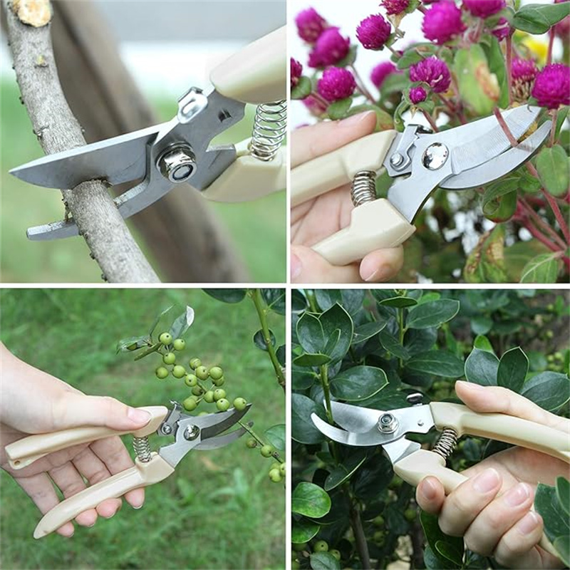 Forbici da Potatura in Acciaio - Gardening Tools To Cut Branches recensione e prezzo