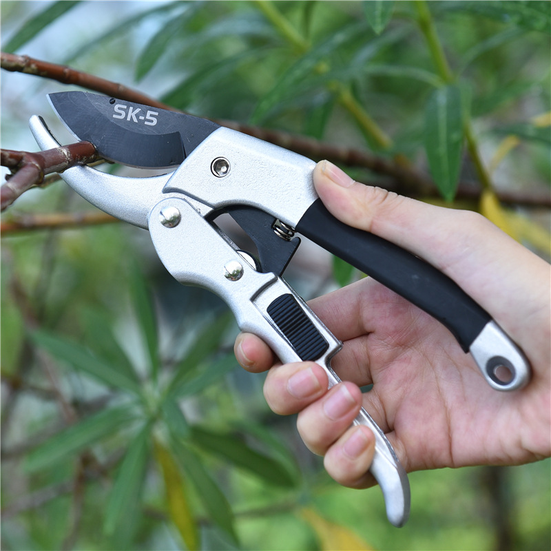 Nuovo 20 centimetri Ratchet Pi - Gardening Tools To Cut Branches recensione e prezzo