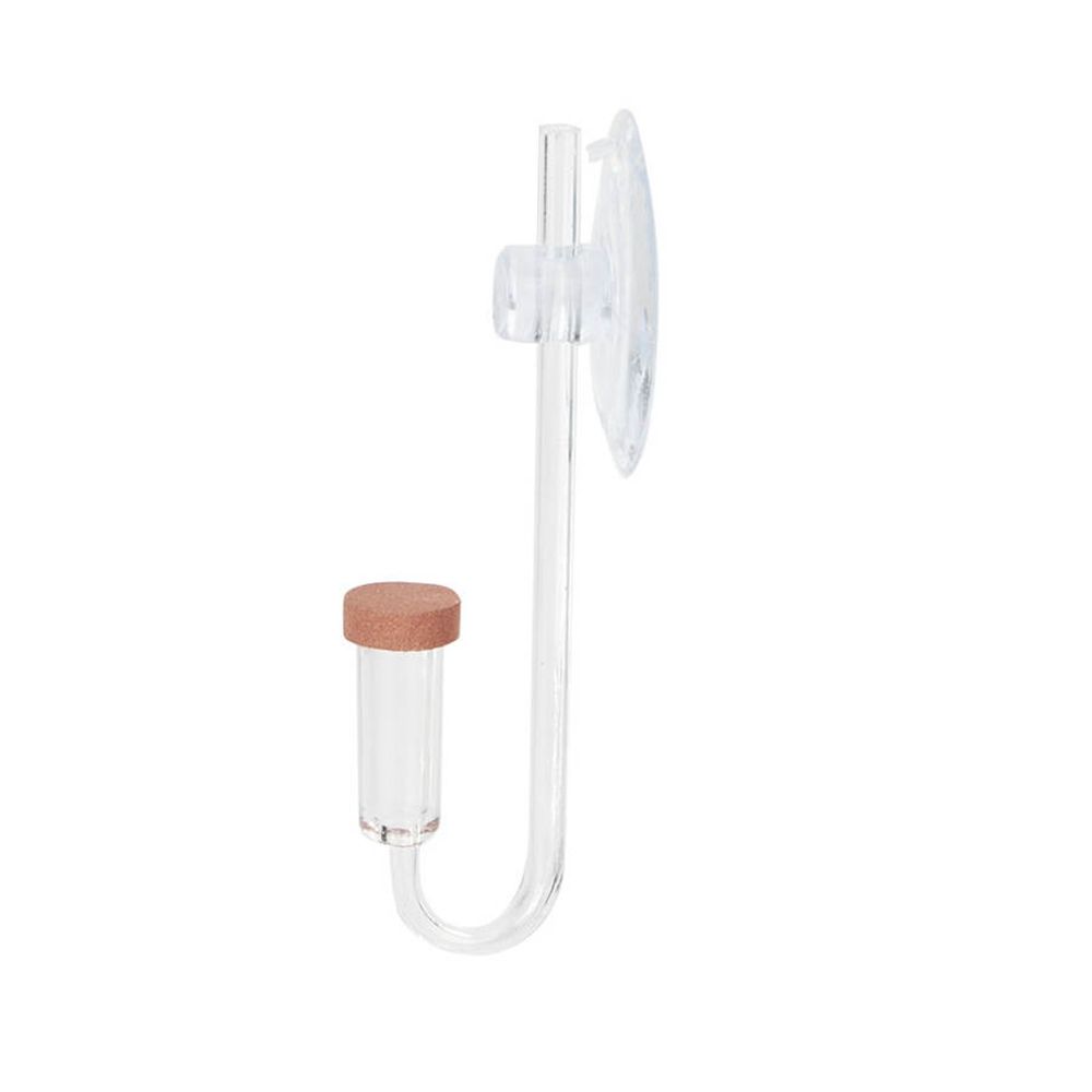 Mini acquario acrilico Pianta  - Aquaponics Fish Tank recensione e prezzo