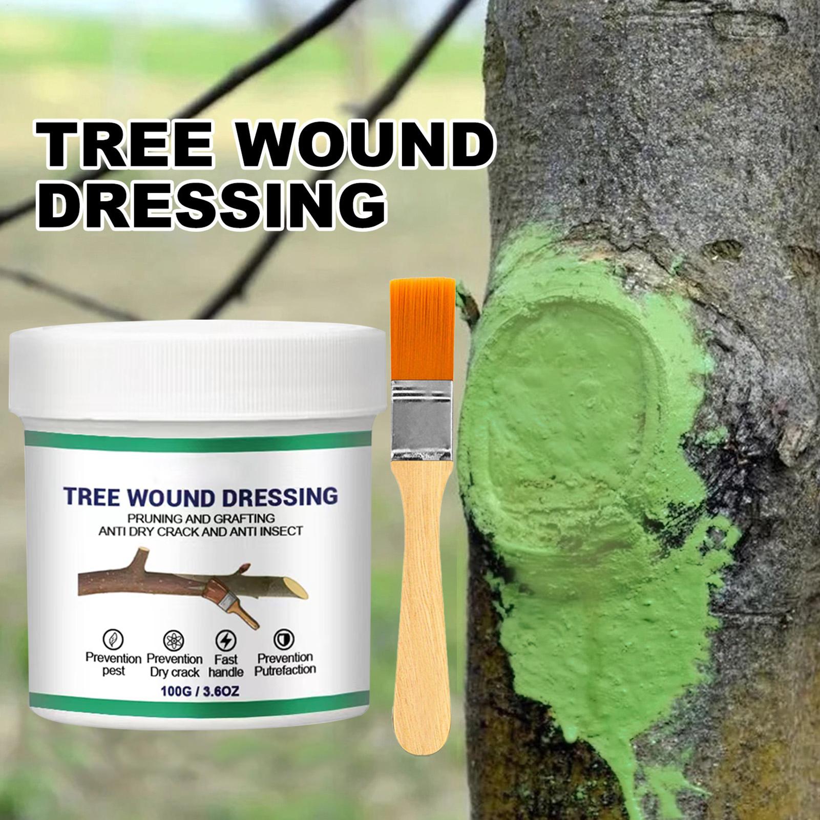 Pasta per Innesto Alberi, Past - Gardening Tools Women recensione e prezzo