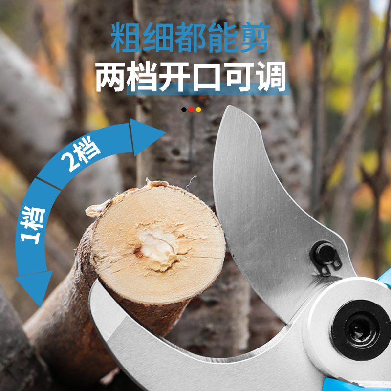Potatore Elettrico Portatile R - Gardening Tools To Cut Branches recensione e prezzo