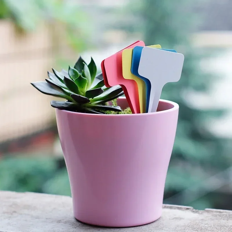 Etichette con nome per piante  - Gardening Tools Names recensione e prezzo