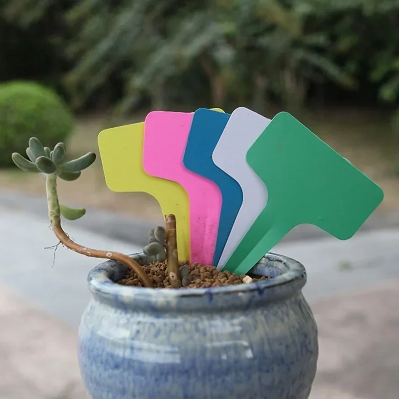 Etichette con nome per piante  - Gardening Tools Names recensione e prezzo