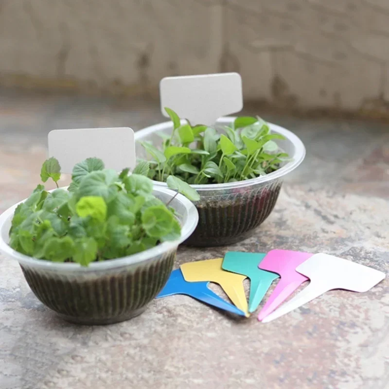 Etichette con nome per piante  - Gardening Tools Names recensione e prezzo