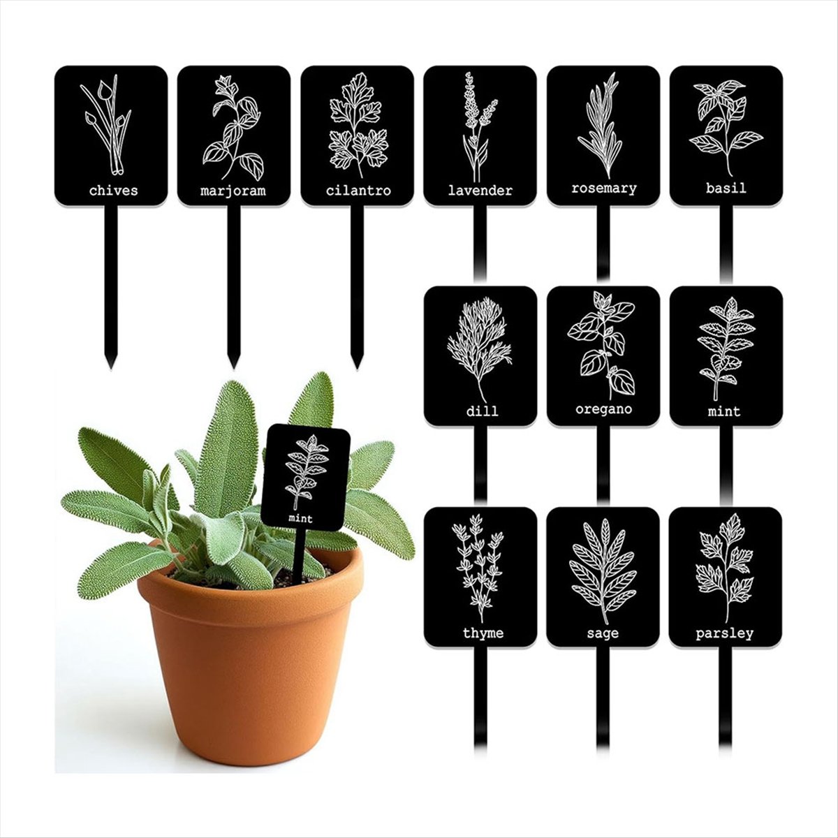 AA14 24 Pezzi Etichette per Pi - Gardening Tools Names recensione e prezzo